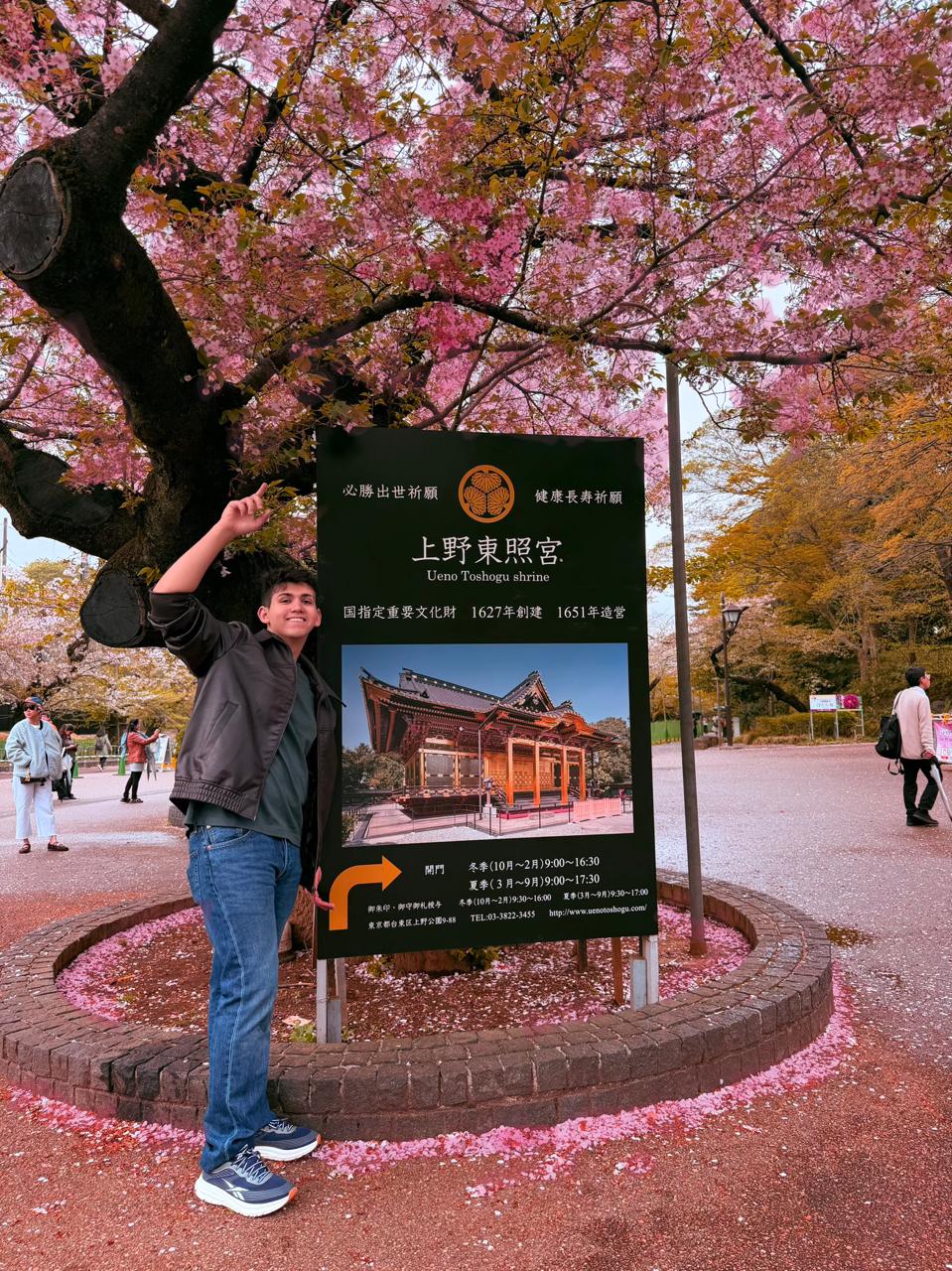Agustín Lago in Japan, beneath cherry blossoms